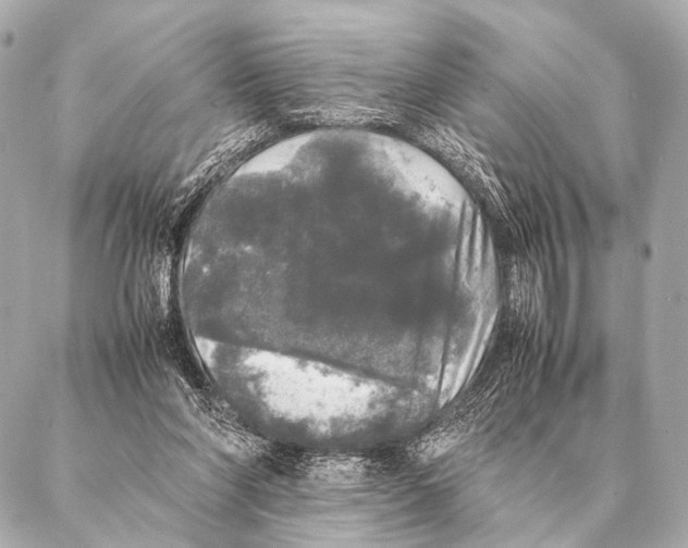 X0000087020206200705141905