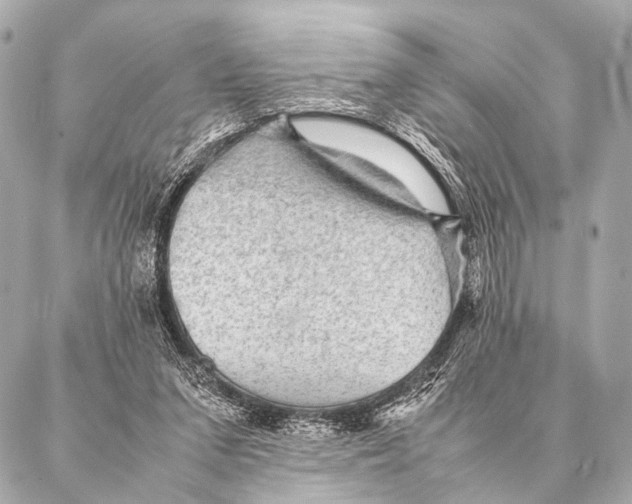 X0000087020207200705141905