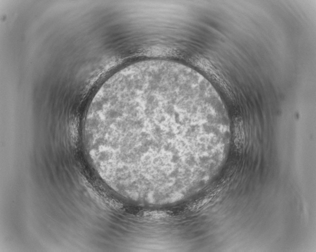 X0000087020208200705141905