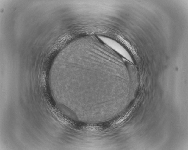 X0000087020209200705141905