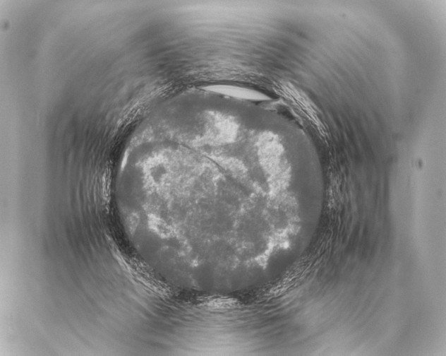 X0000087020210200705141905