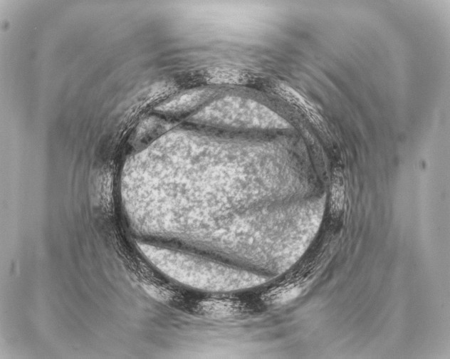 X0000087020211200705141905