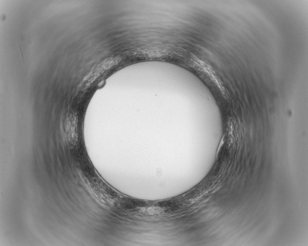 X0000087020212200705141905