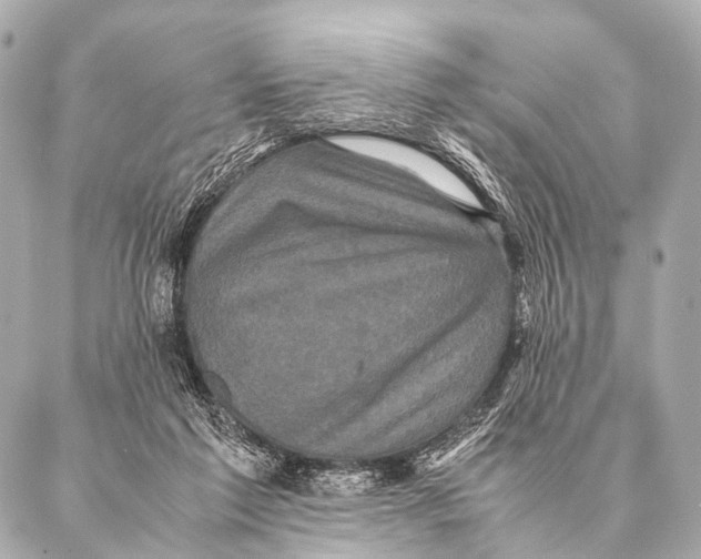 X0000087020213200705141904