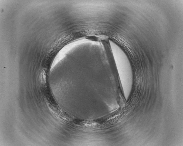 X0000087020214200705141904