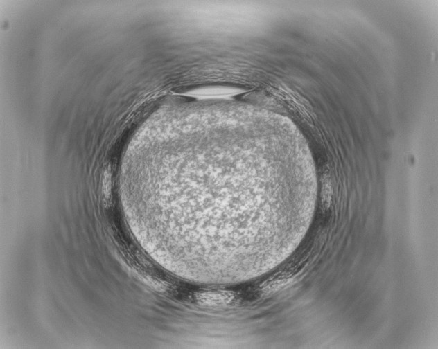 X0000087020215200705141904