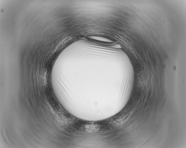 X0000087020216200705141904