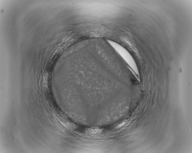 X0000087020217200705141904