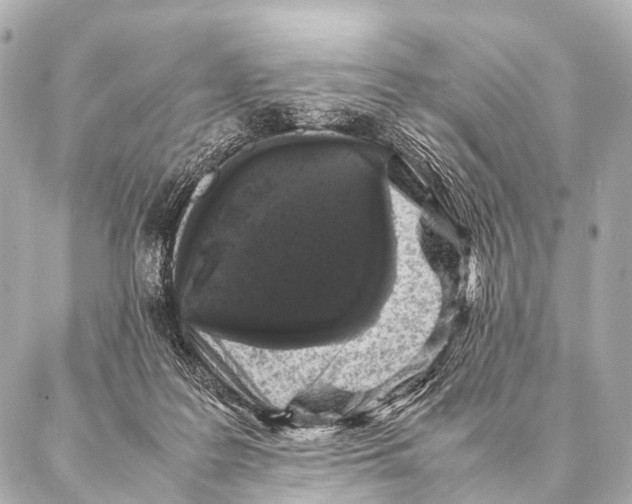 X0000087020219200705141904