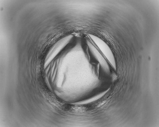 X0000087020221200705141904