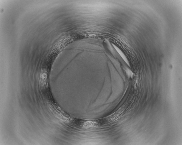 X0000087020222200705141904