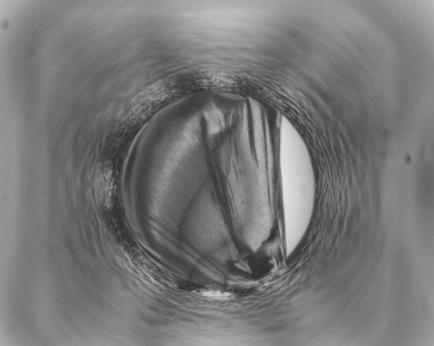 X0000087020223200705141904