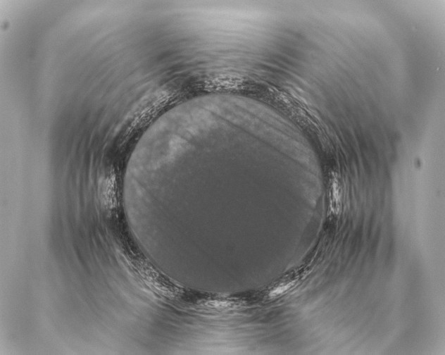 X0000087020224200705141904