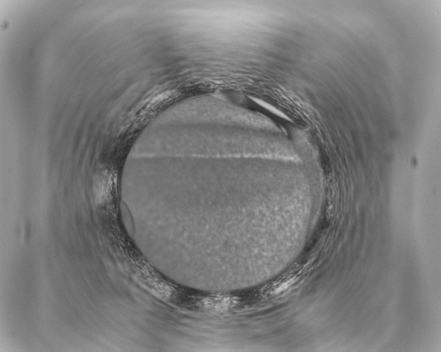 X0000087020225200705141904