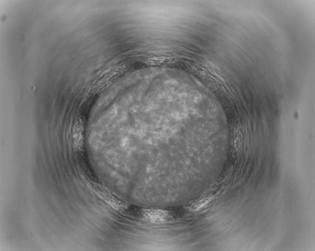 X0000087020226200705141904