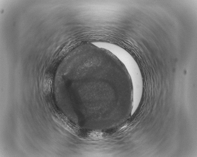 X0000087020227200705141904