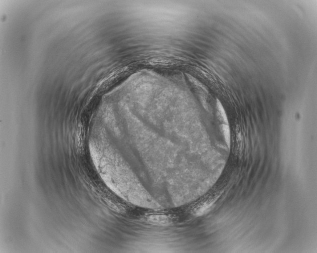 X0000087020228200705141904