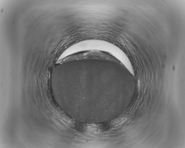 X0000087020229200705141904