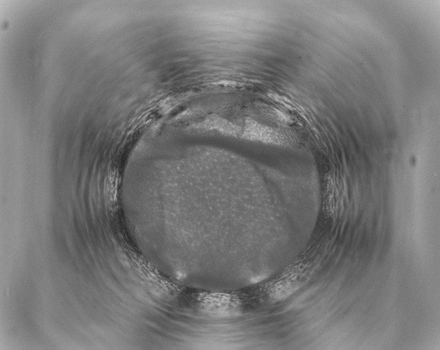 X0000087020230200705141904