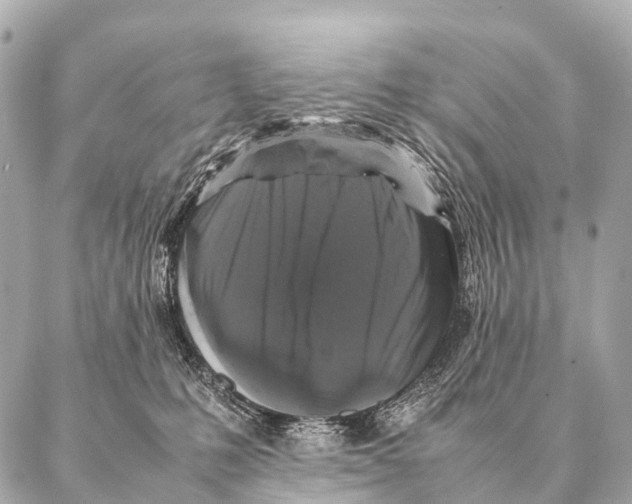 X0000087020231200705141904