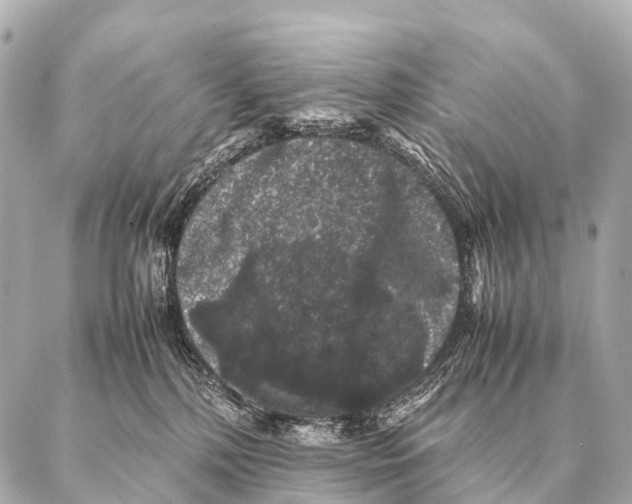 X0000087020232200705141904