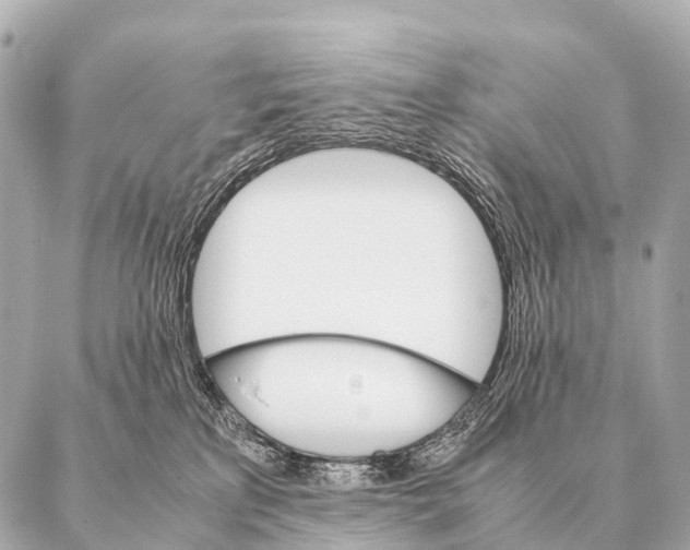 X0000087020233200705141904