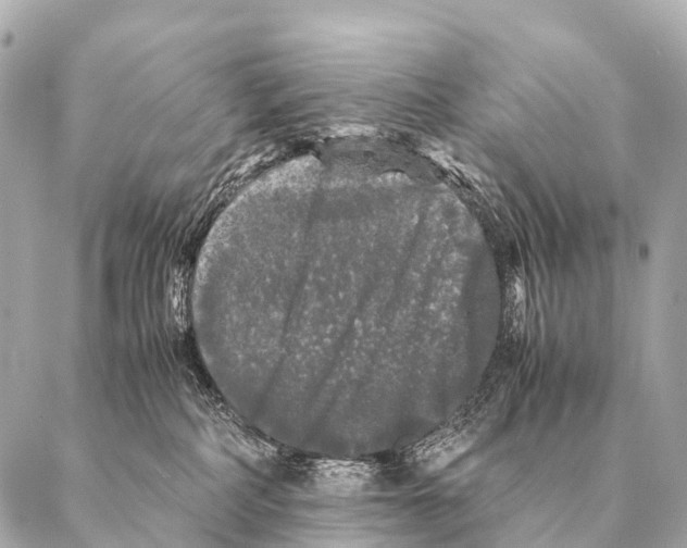 X0000087020234200705141904