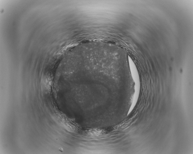 X0000087020235200705141904