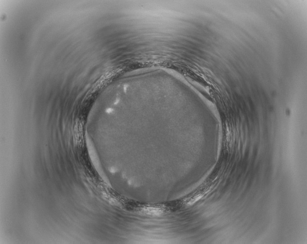 X0000087020236200705141904