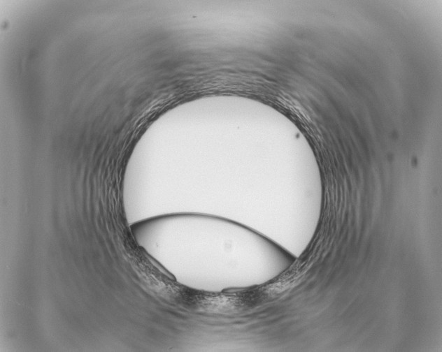 X0000087020237200705141904