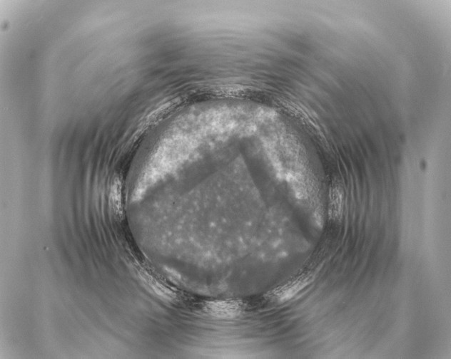 X0000087020238200705141904