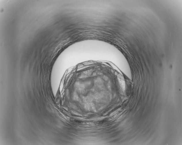 X0000087020239200705141904