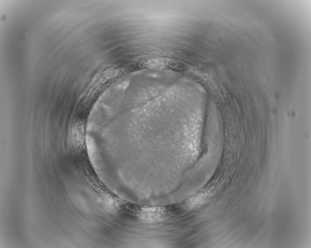 X0000087020240200705141904