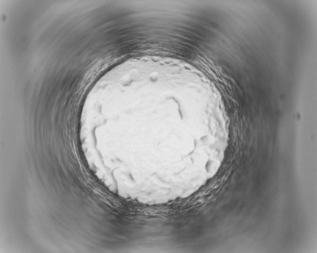 X0000087020241200705141903