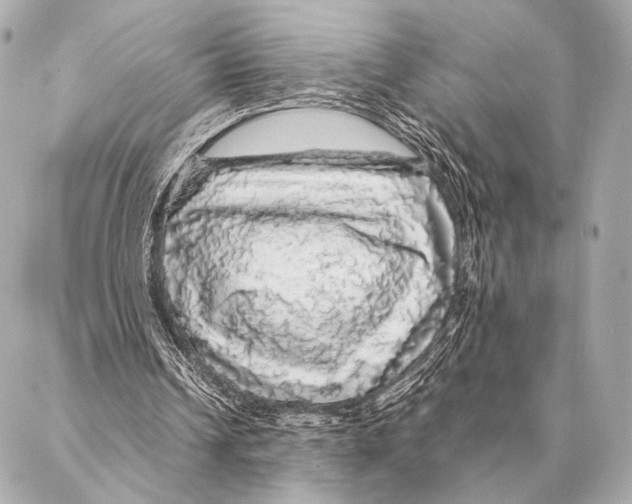 X0000087020242200705141903