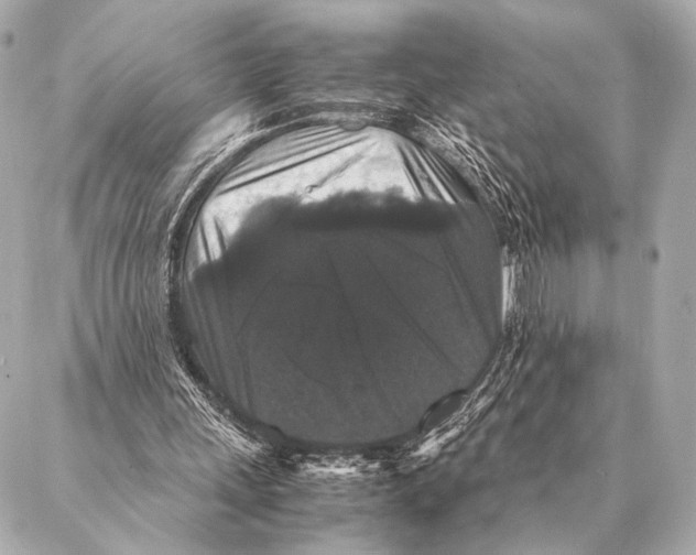 X0000087020243200705141903