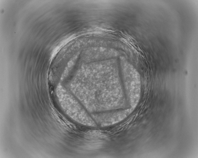 X0000087020244200705141903