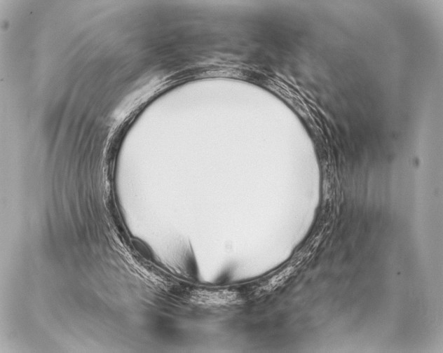 X0000087020245200705141903