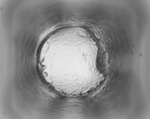 X0000087020246200705141903