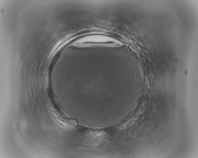 X0000087020247200705141903