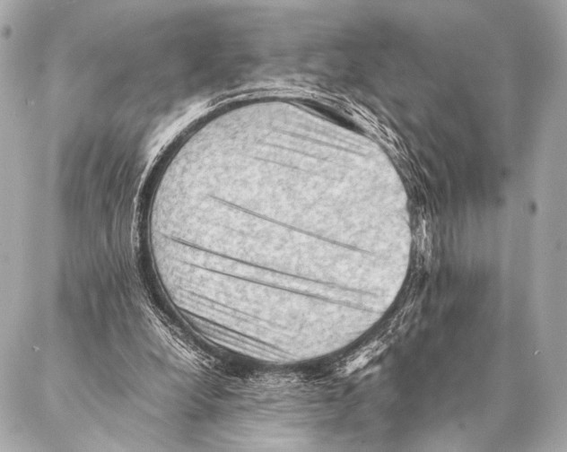 X0000087020248200705141903