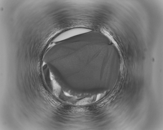 X0000087020249200705141903