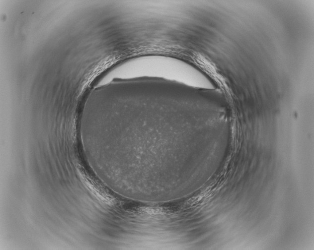 X0000087020250200705141903