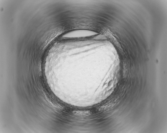 X0000087020251200705141903