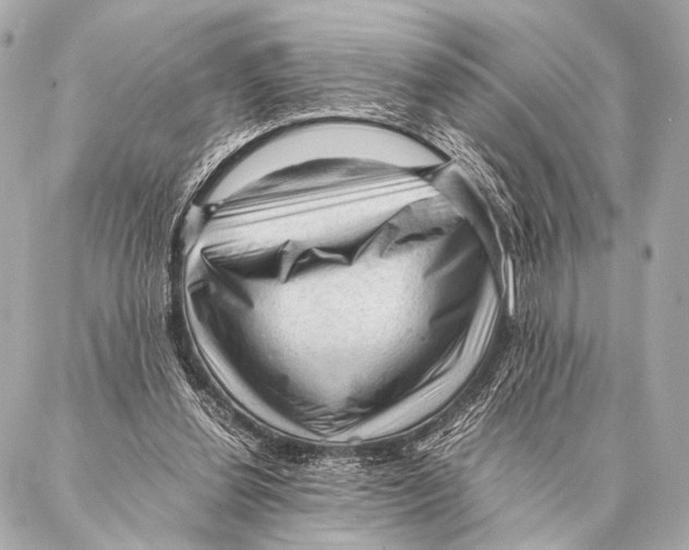 X0000087020252200705141903