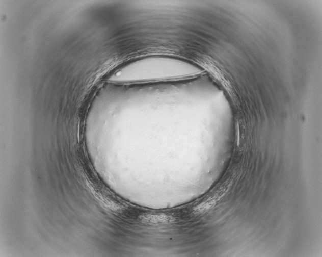 X0000087020253200705141903