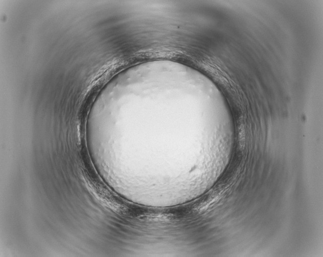 X0000087020254200705141903