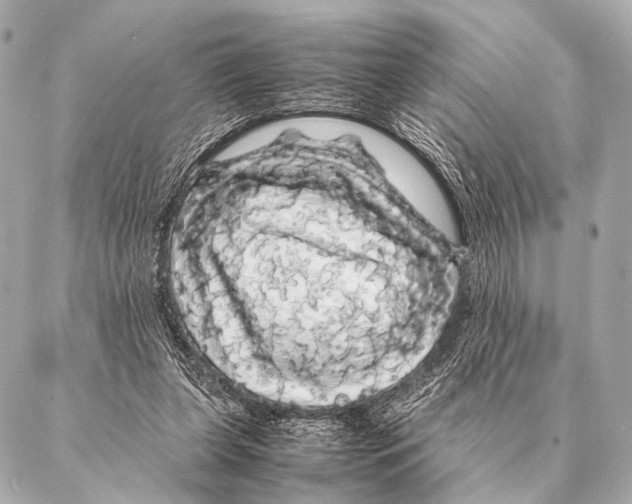 X0000087020255200705141903