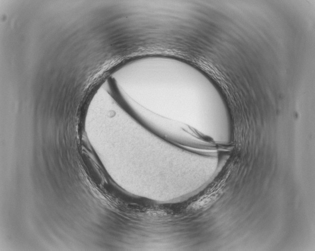 X0000087020256200705141904