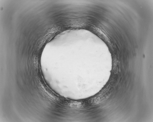 X0000087020257200705141904